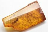 Detailed Micromoth (Microlepidoptera) In Baltic Amber #207480-1